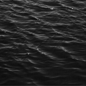 Meet your Posher, Sabrina jarnhus